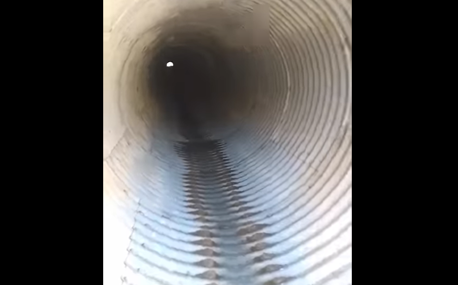 los pasafaunas en la Autovía de Punilla