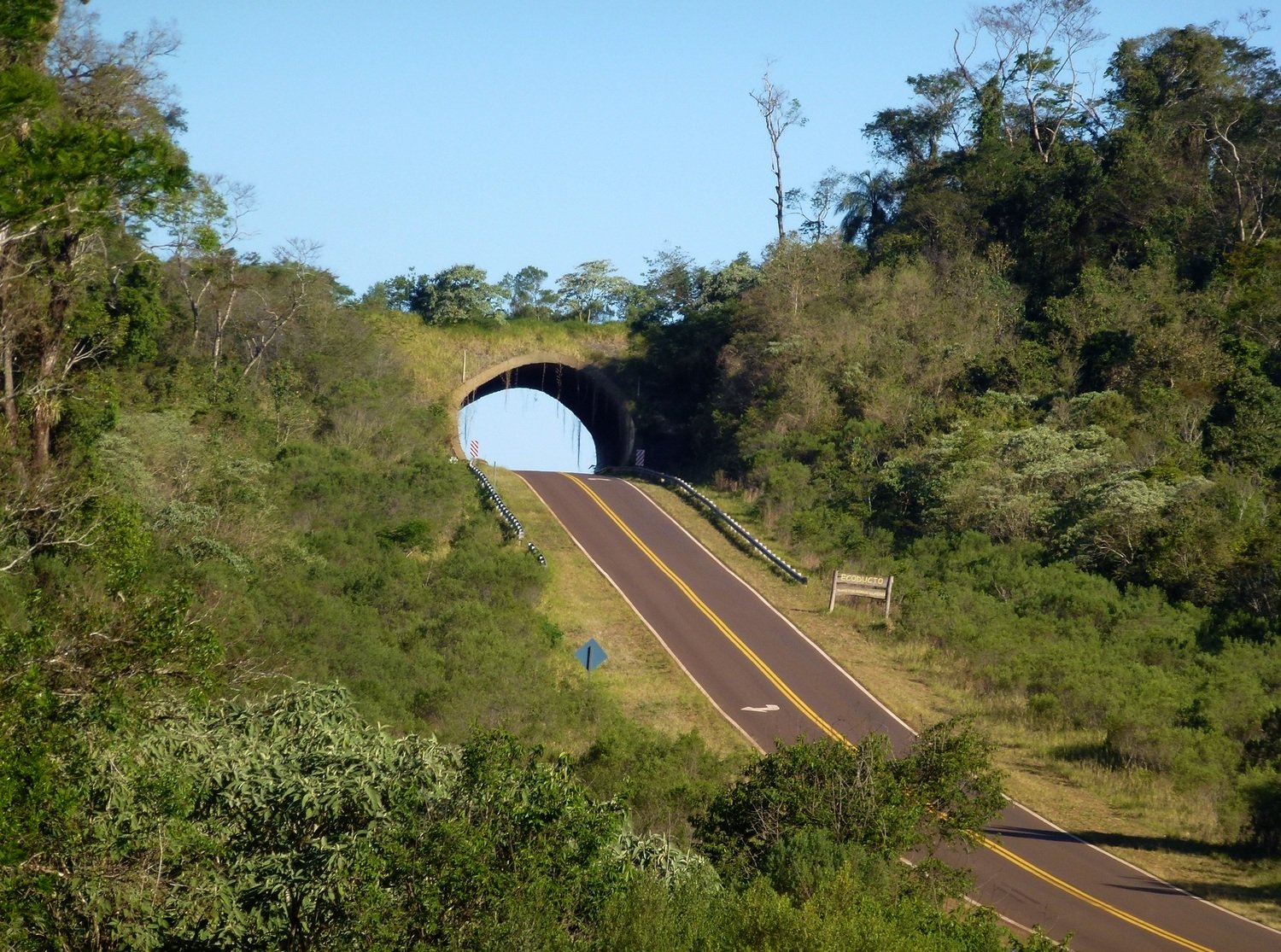 selva misiones ruta