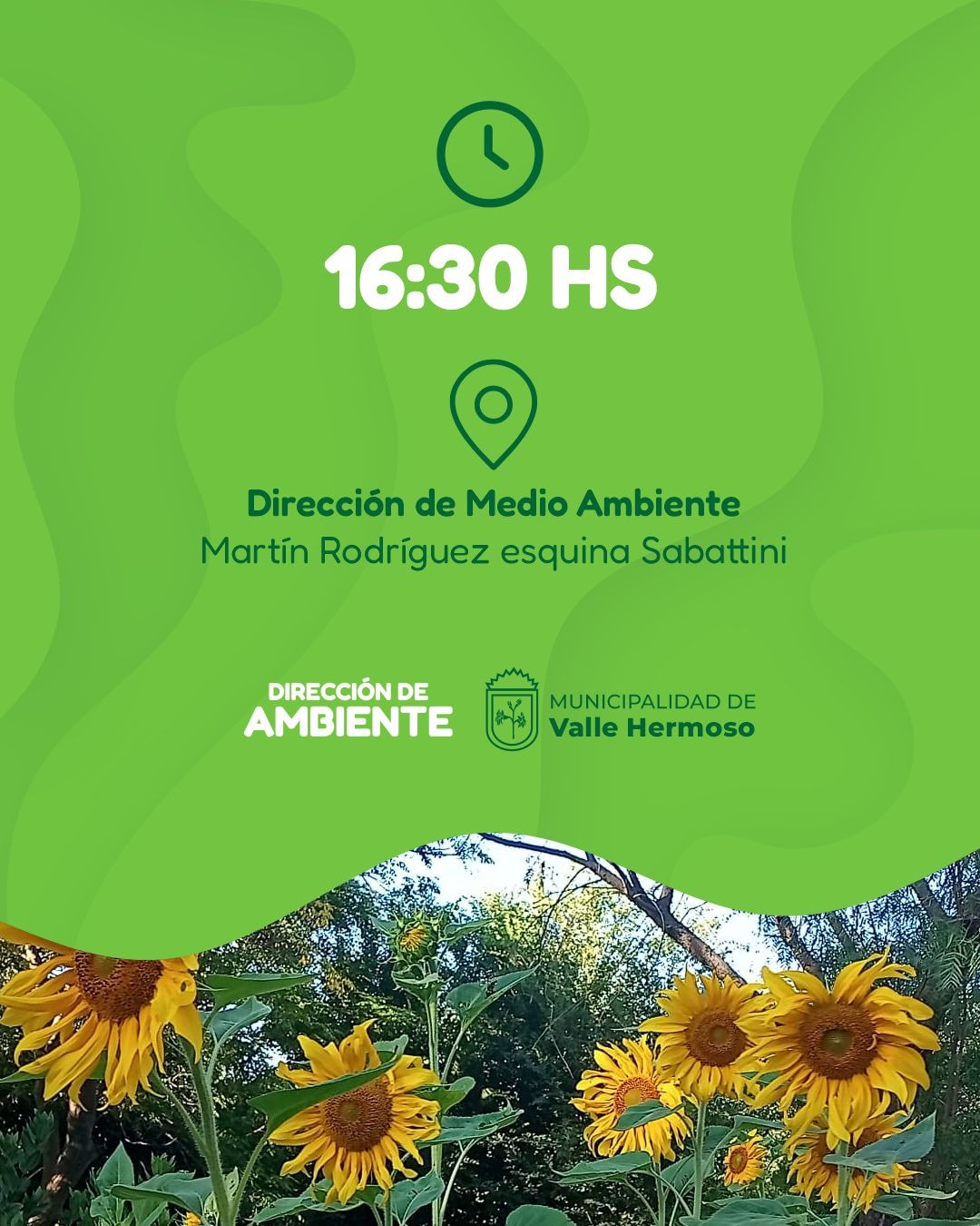 Taller de Huerta