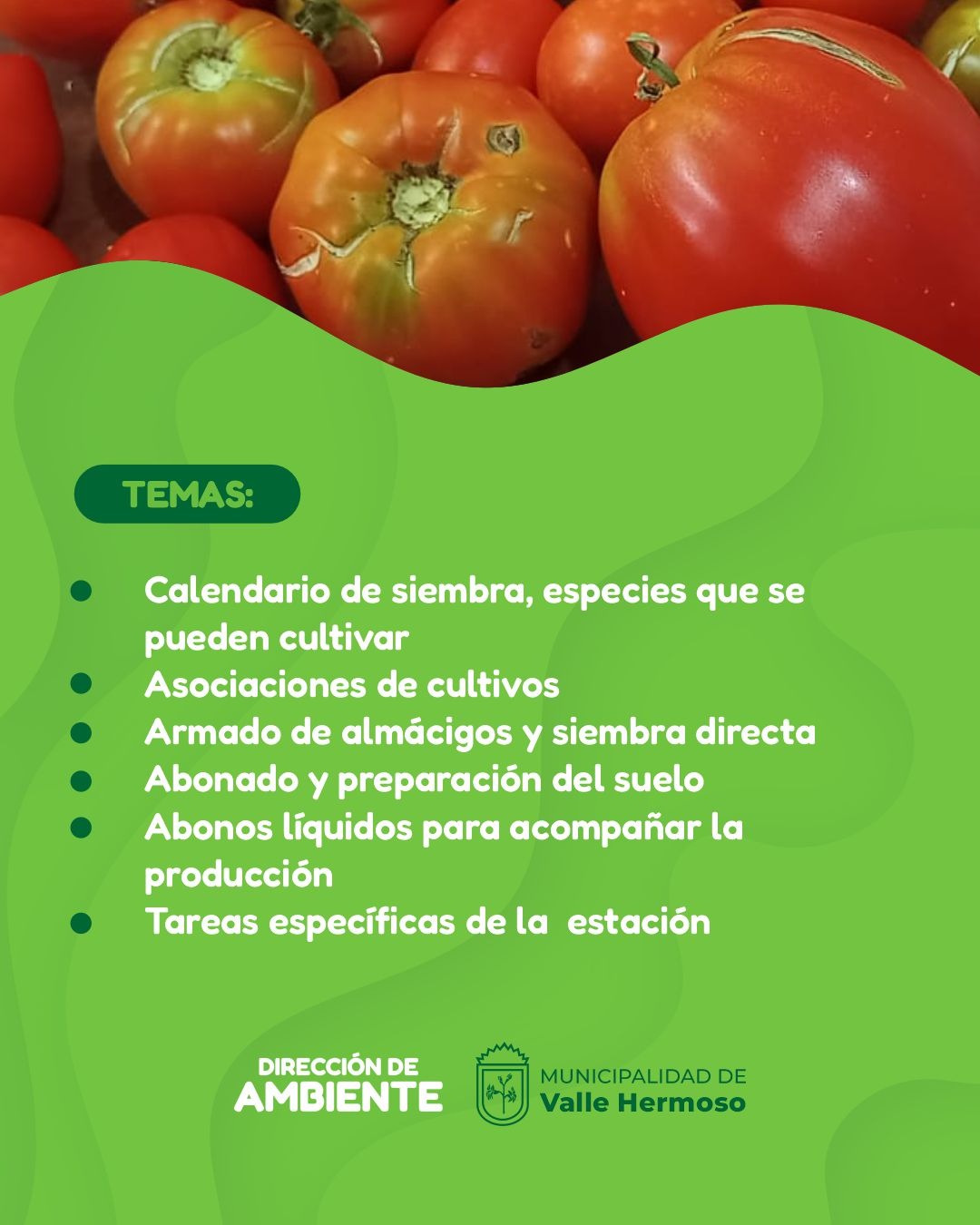 Temas