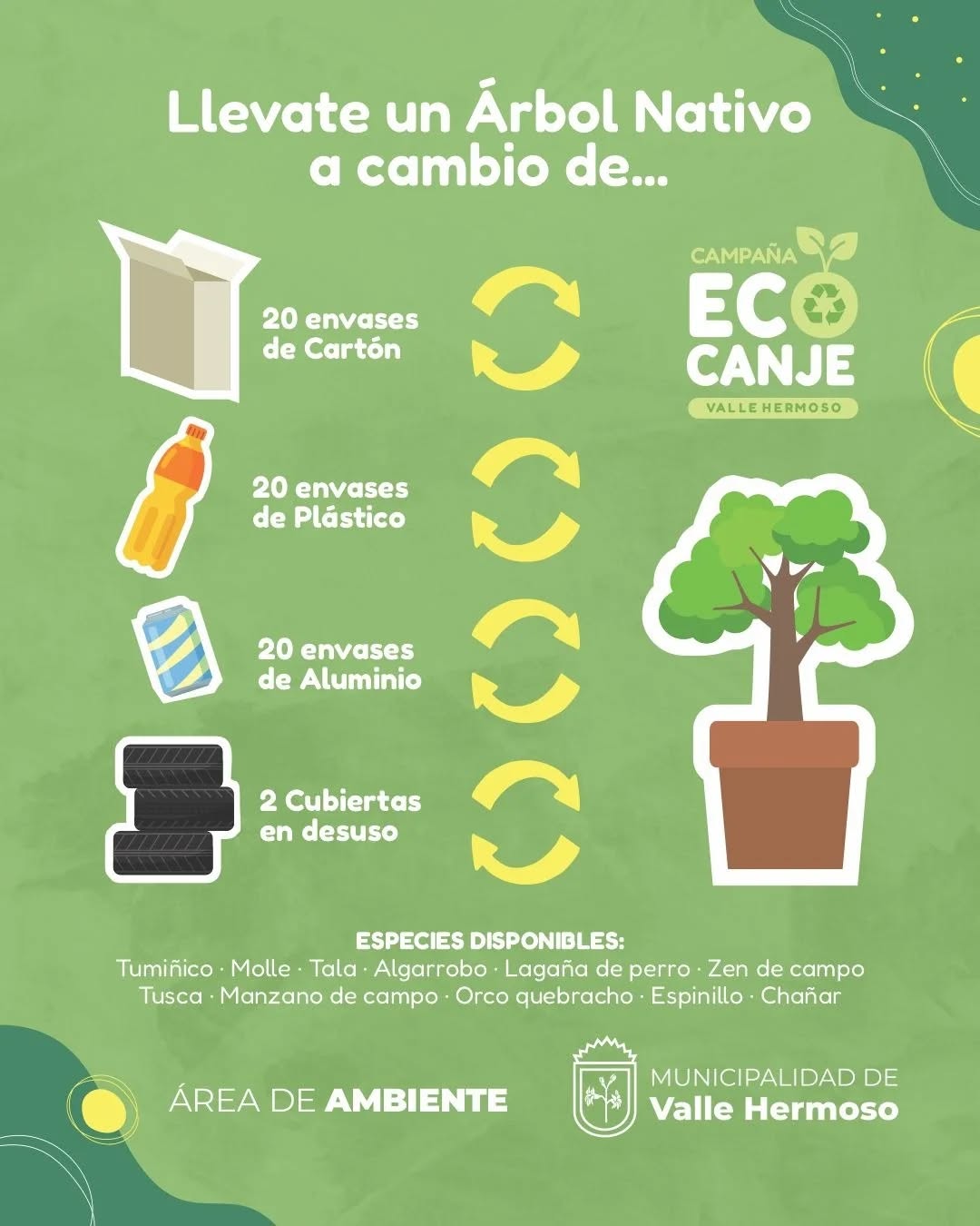 611769342 18334836178209363 8499381050199370982 n