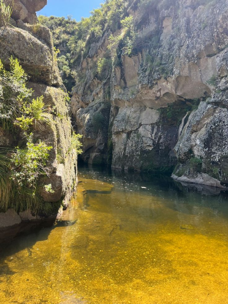 El Yuspe y su color ambar característico