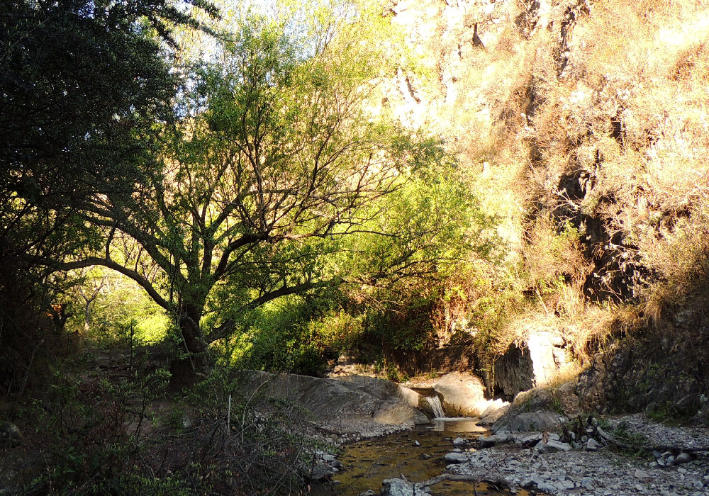 Reserva Natural Vaquerías