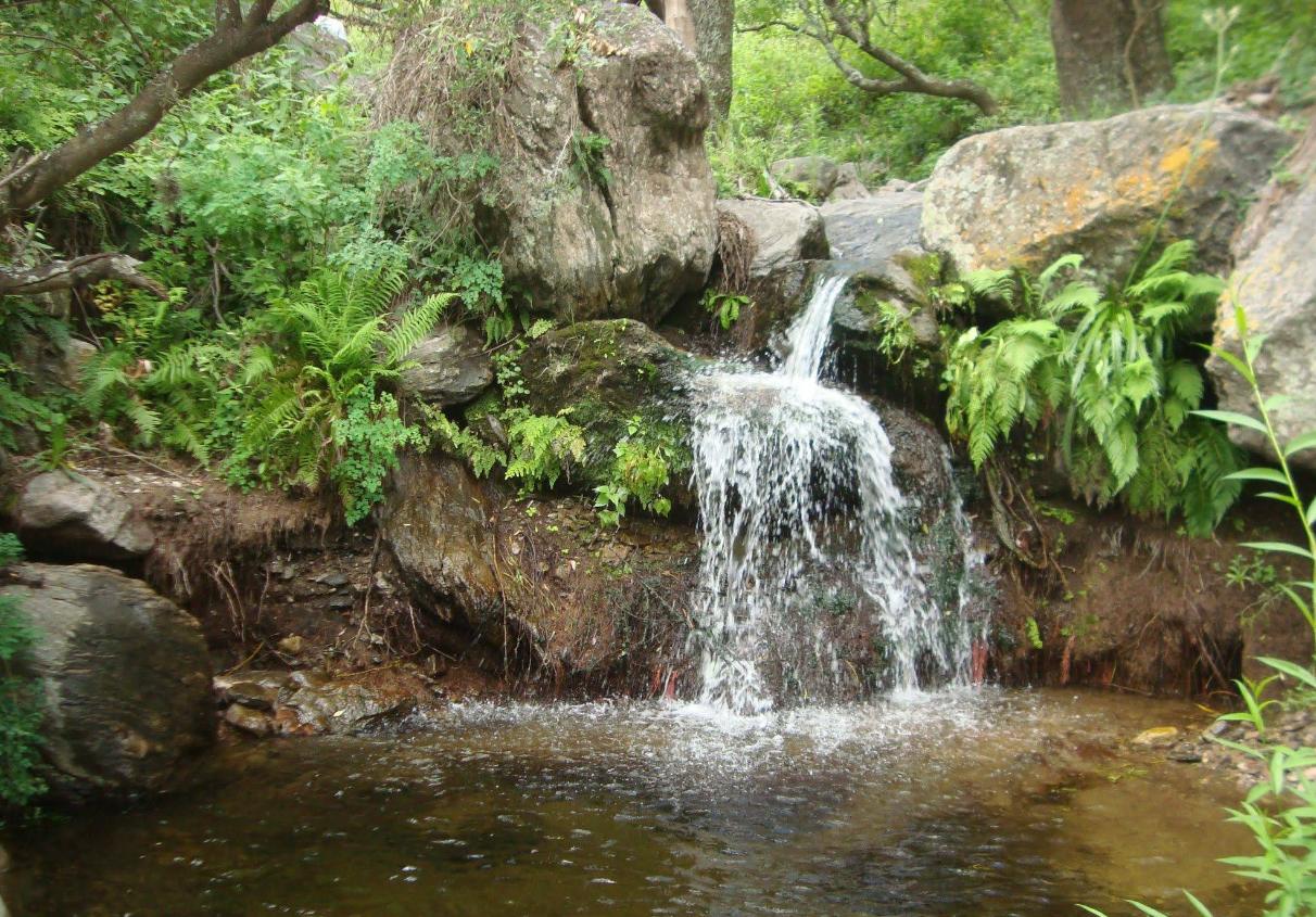 GiwellPark2