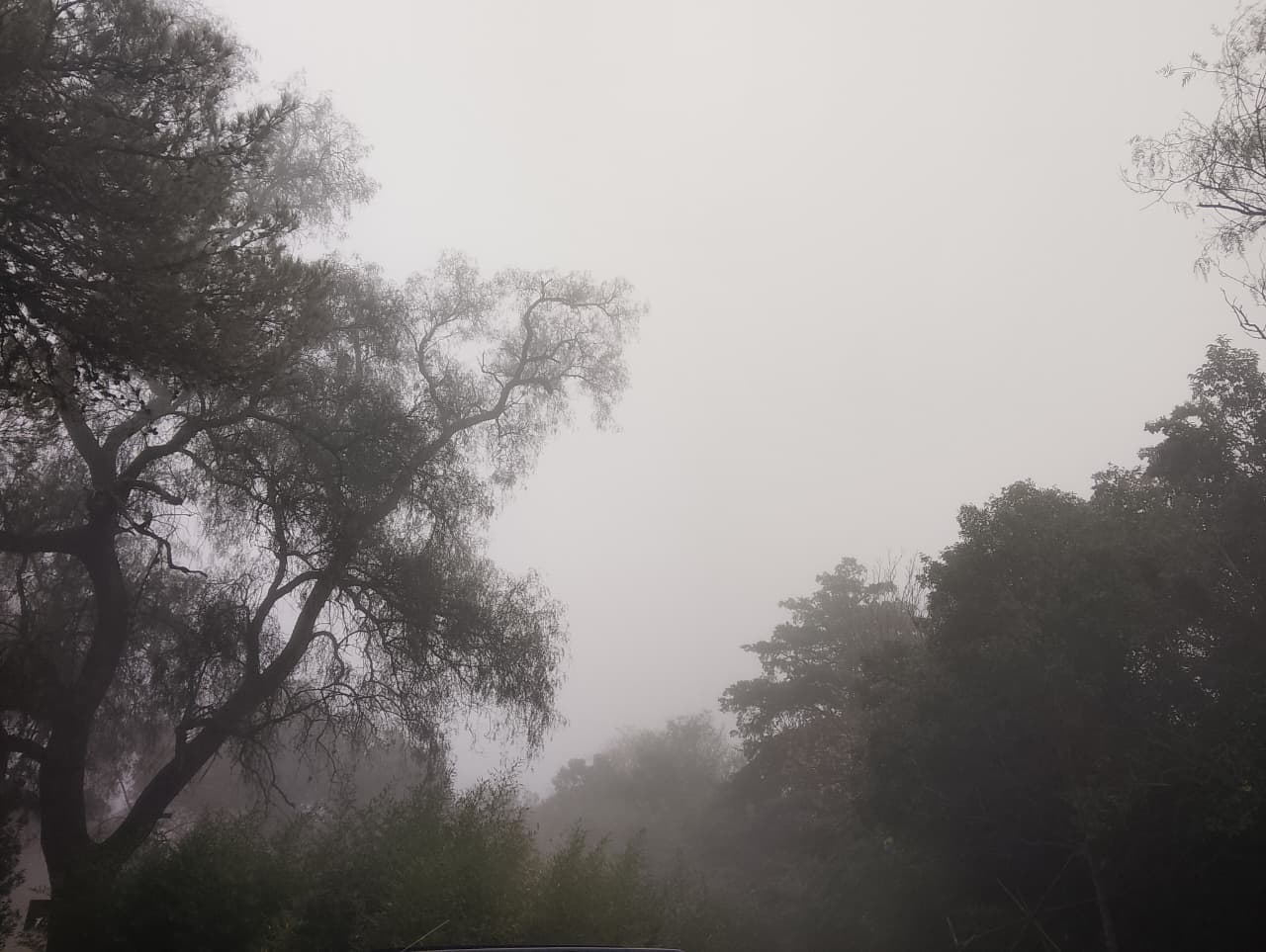 Niebla en las Sierras
