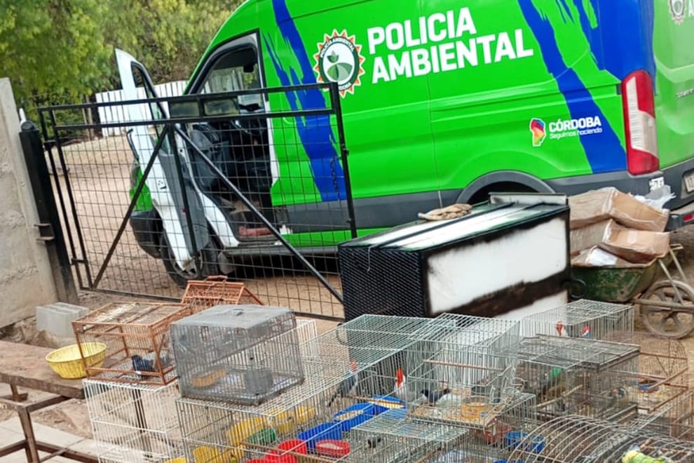 Aves enjauladas